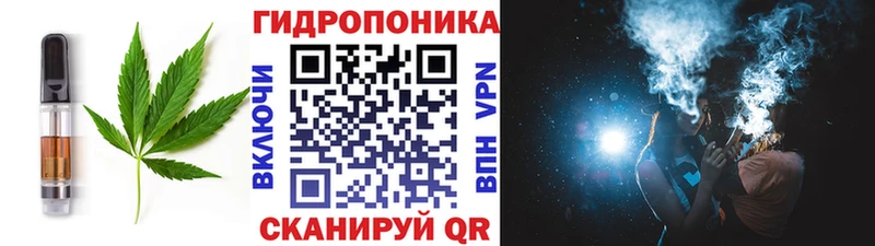 Печенье с ТГК конопля  где можно купить наркотик  Порхов 