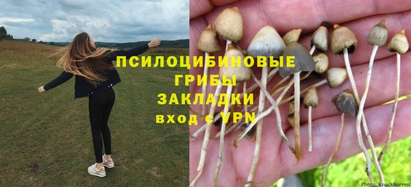 мдма Армянск