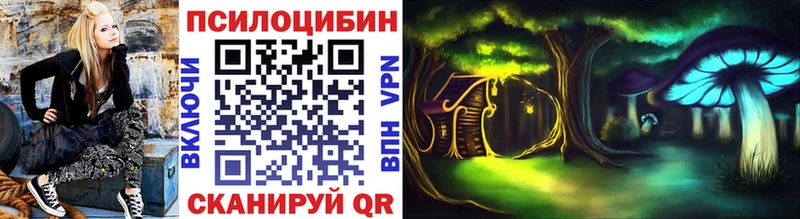 omg ТОР  Порхов  Галлюциногенные грибы ЛСД  дарнет шоп 